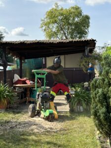 IMG_4252